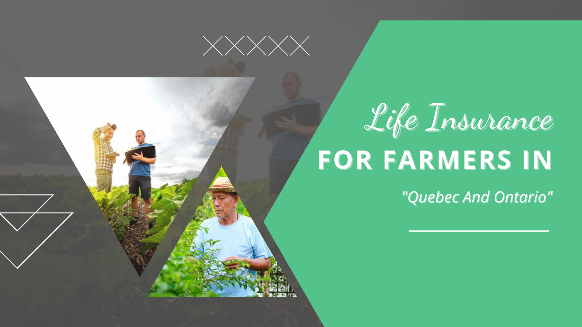 Life Insurance For Farmers